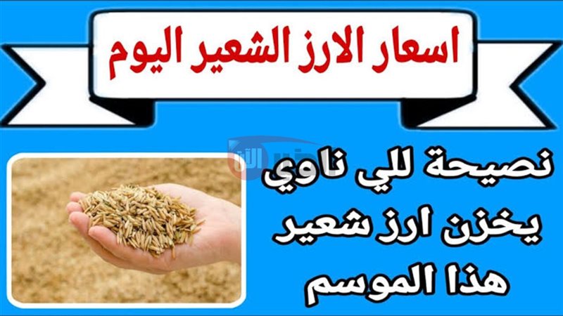 سعر الأرز الشعير