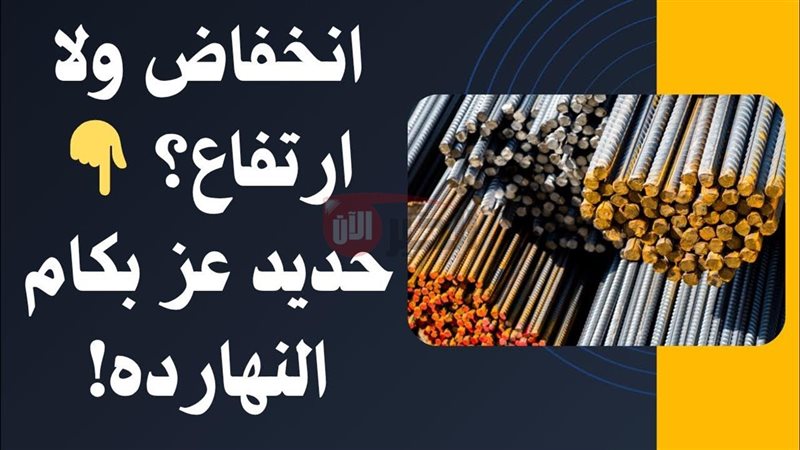 سعر طن الحديد والأسمنت