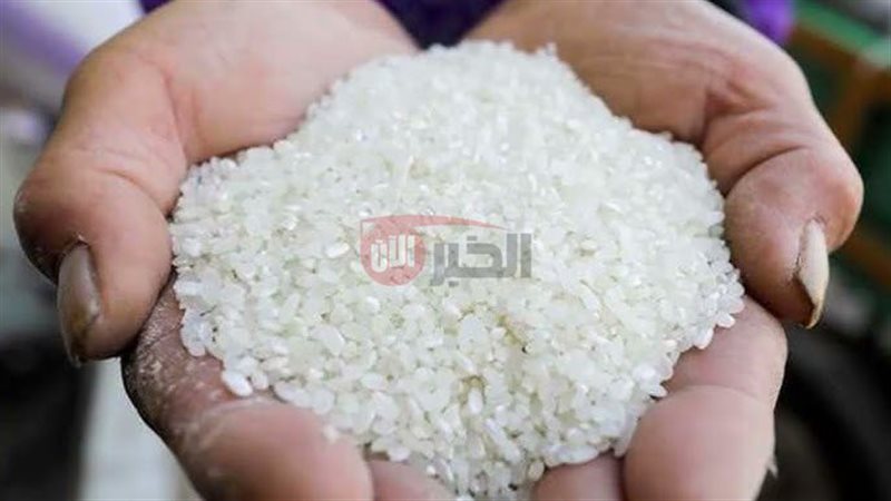 سعر طن الأرز الشعير