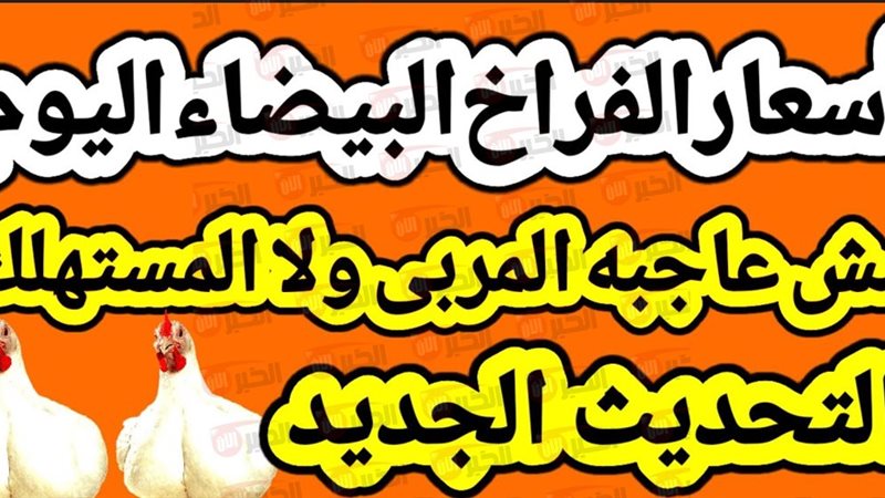 أسعار الفراخ البيضاء