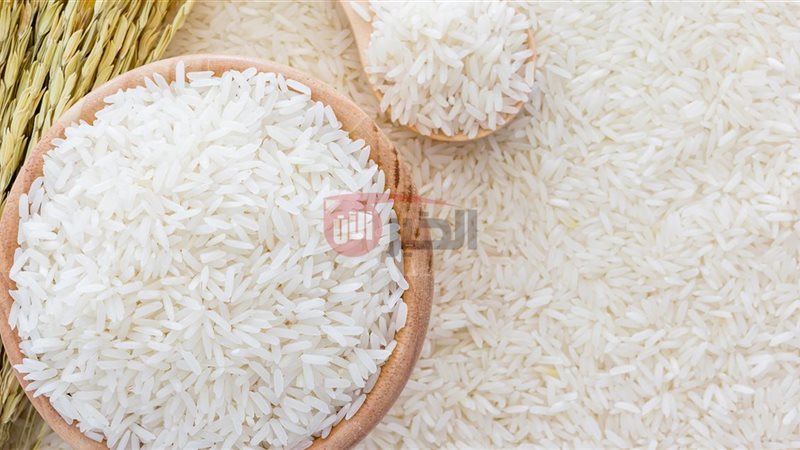 اسعار الارز الشعير