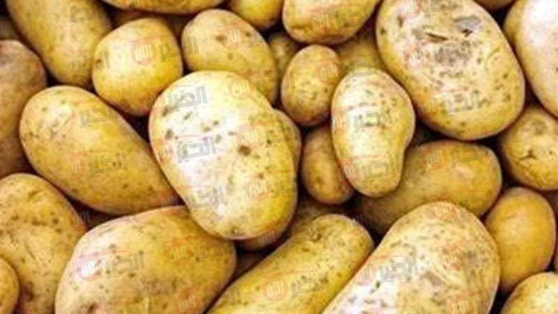 ارتفاع أسعار البطاطس