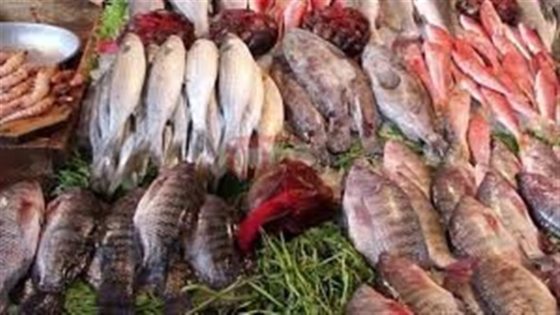 اسعار السمك اليوم