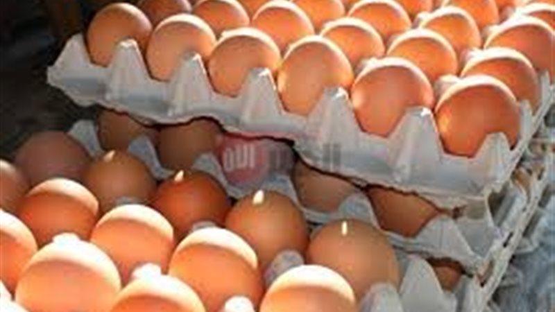 سعر البيض الأحمر