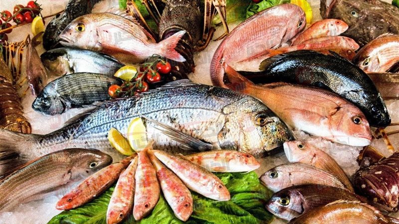 أسعار السمك اليوم