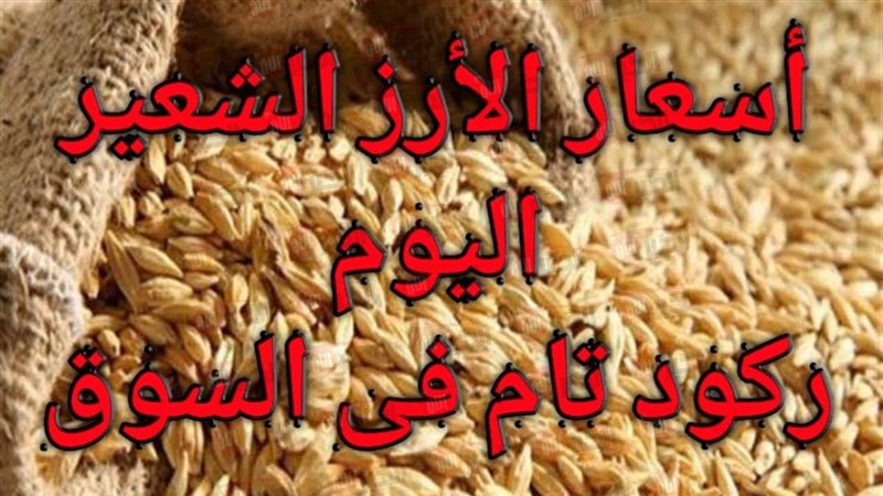 سعر الأرز الشعير