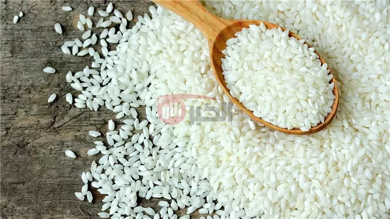 سعر الارز الشعير