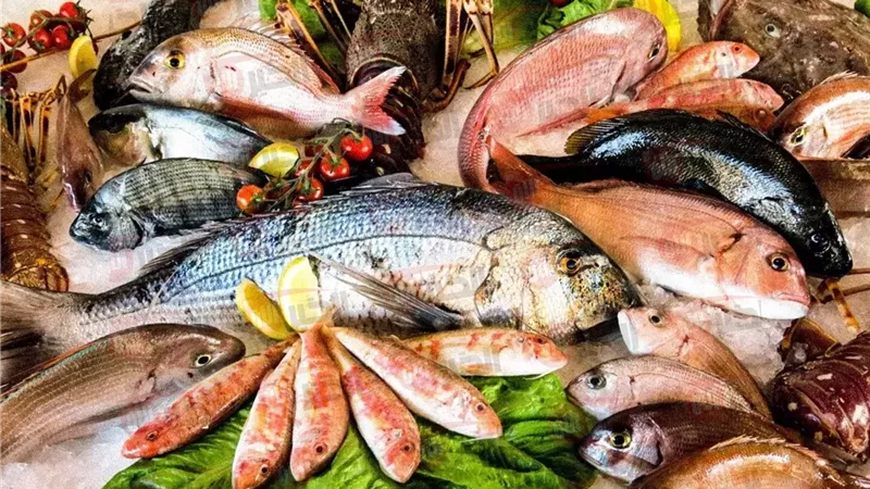 اسعار السمك اليوم