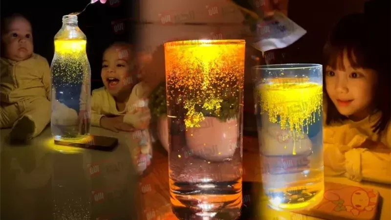 ما هو ترند الكركم