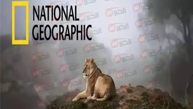 تردد قناة ناشيونال