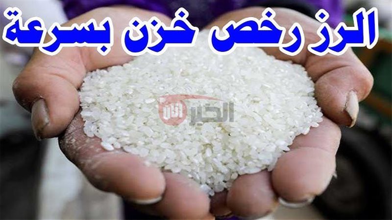 سعر طن الأرز الشعير