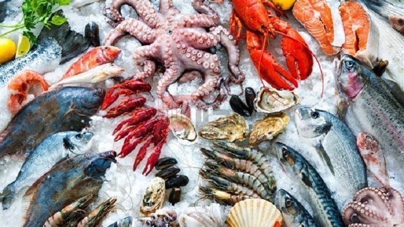 اسعار السمك اليوم