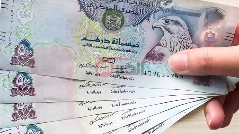 سعر الدرهم الاماراتي