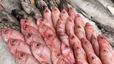 تباين اسعار السمك اليوم الخميس 3يوليو 2025 بداخل سوق العبور والأسواق المختلفة