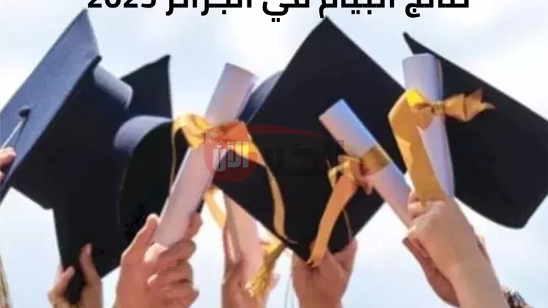 bem onec dz نتائج