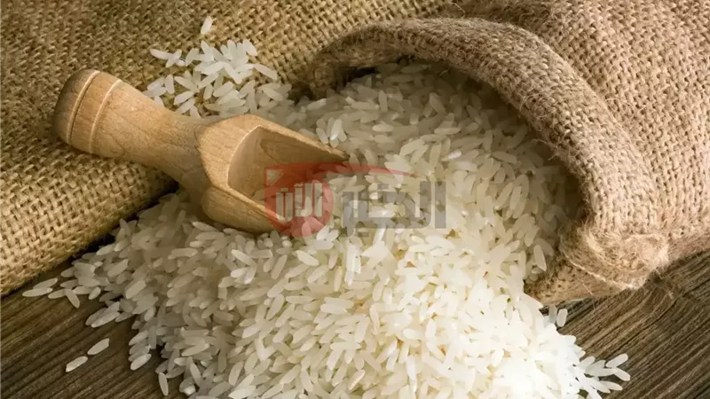 سعر الأرز الشعير