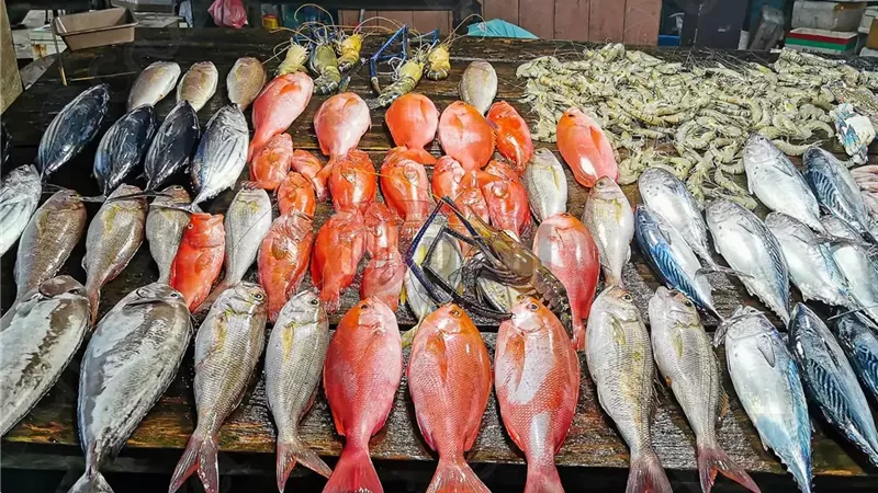 أسعار السمك اليوم