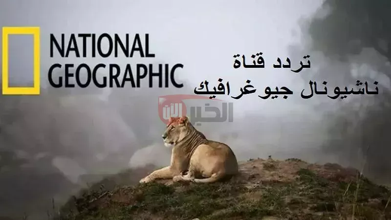 تردد قناة ناشيونال