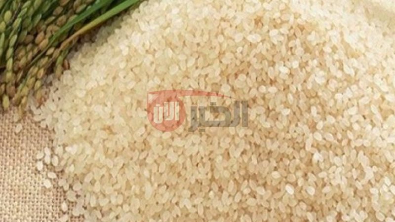 سعر الأرز الشعير