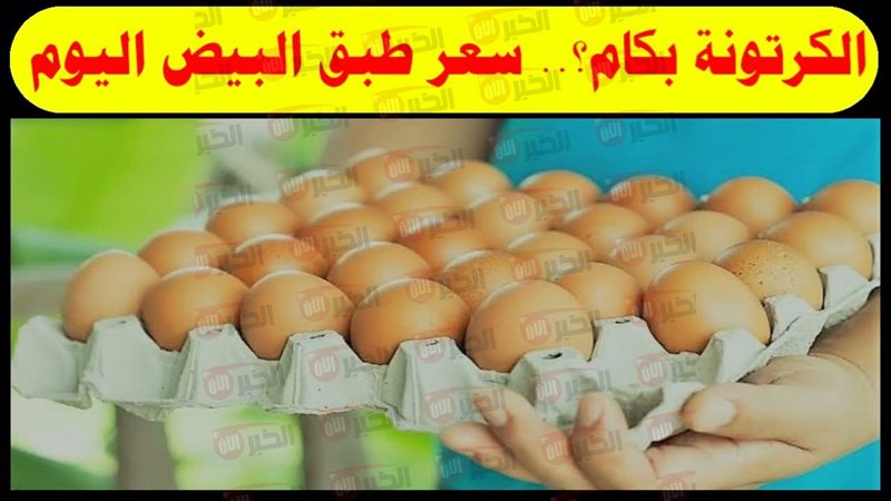 سعر كرتونة البيض