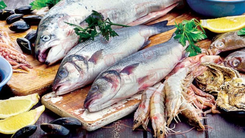 اسعار السمك اليوم