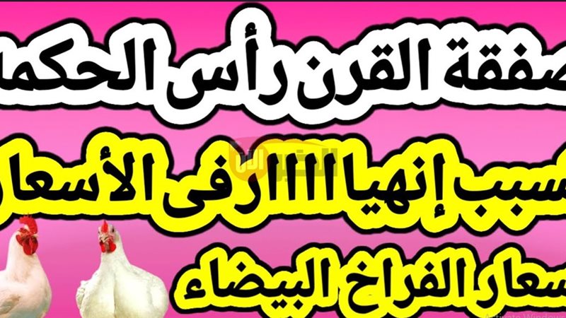 بورصة الدواجن اليوم