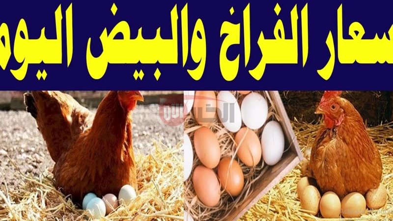 بورصة الدواجن اليوم