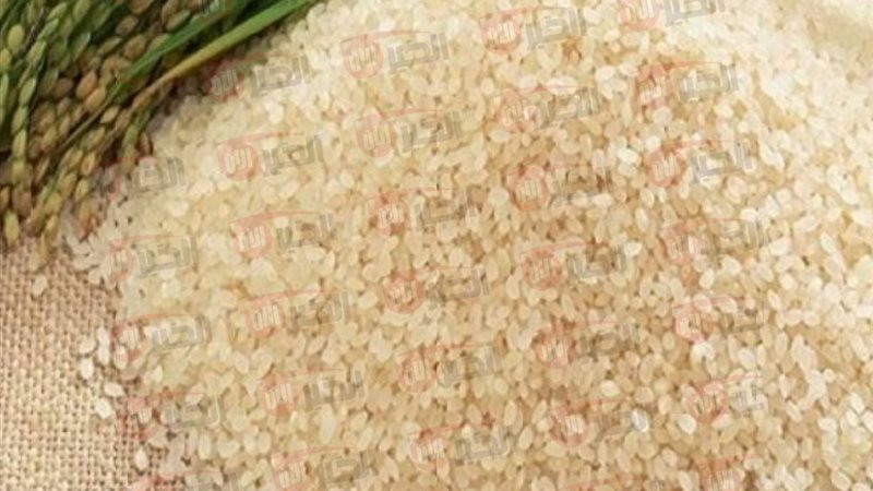 سعر الارز الشعير
