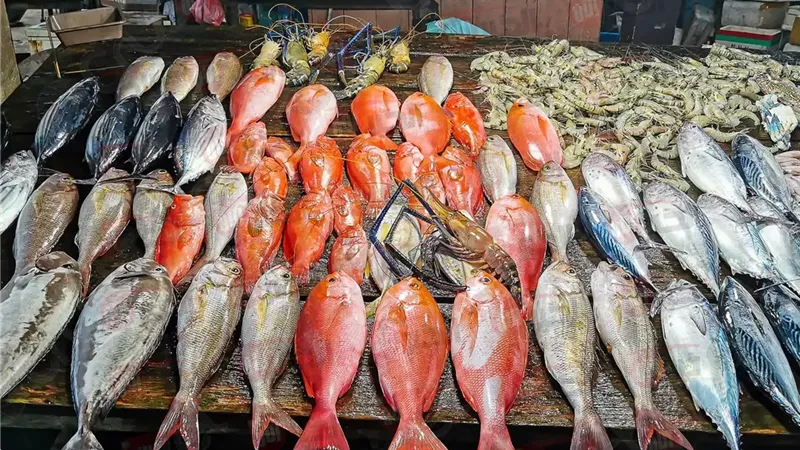 أسعار السمك اليوم