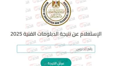 الآن على nategafany emis gov eg نتيجة الدبلومات الفنية 2025 لجميع التخصصات 
