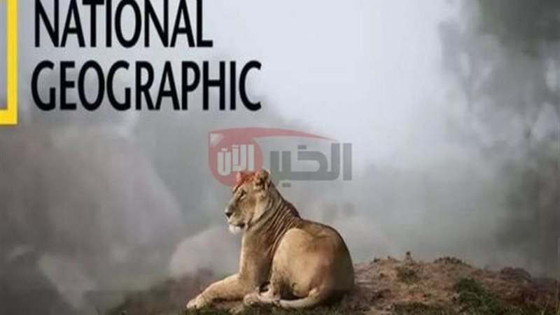 تردد قناة ناشيونال