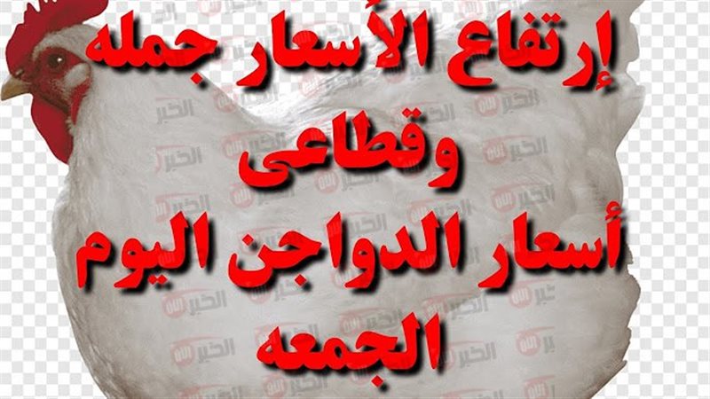 بورصة الدواجن