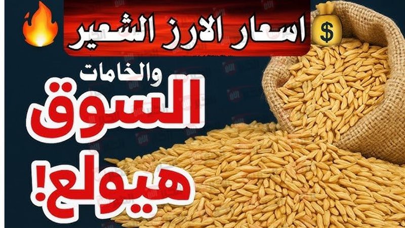 سعر الأرز الشعير