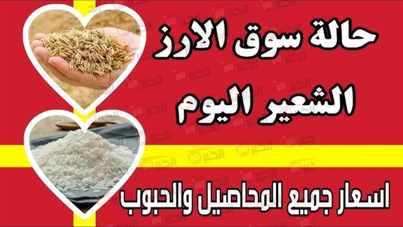 سعر الأرز الشعير