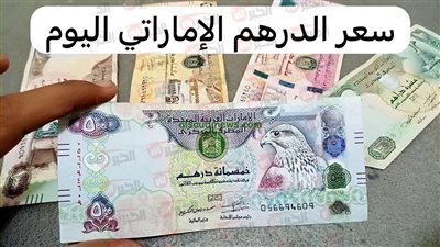 تراجع سعر الدرهم الإماراتي مقابل الجنيه المصري اليوم الثلاثاء 29-7-2025 بالبنوك
