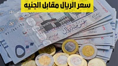 سعر الريال السعودي مقابل الجنيه المصري الآن في السوق المحلي (تحديث لحظي)