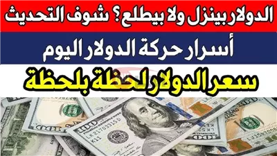 استقرار سعر الدولار اليوم الخميس 24 يوليو 2025 داخل البنوك المصرية
