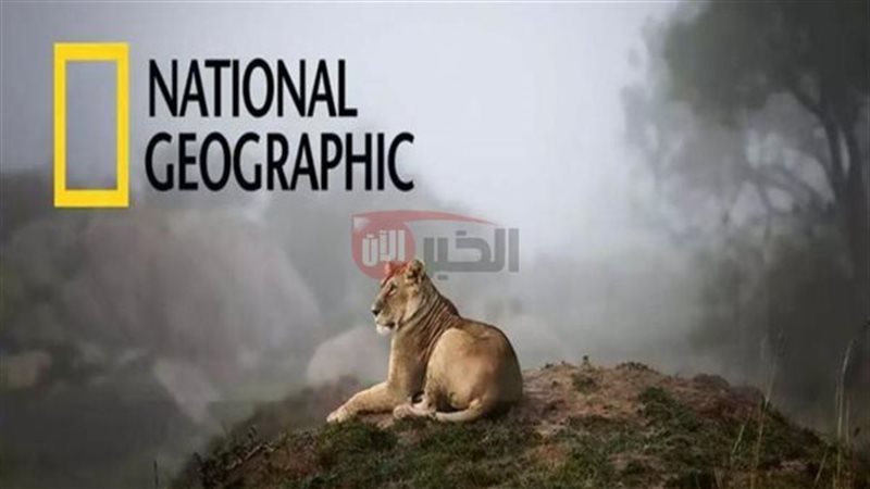 تردد قناة ناشيونال