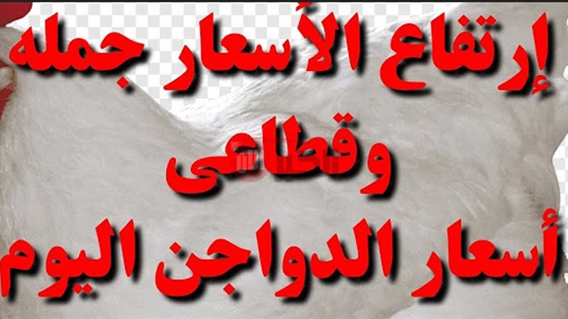 بورصة الدواجن اليوم