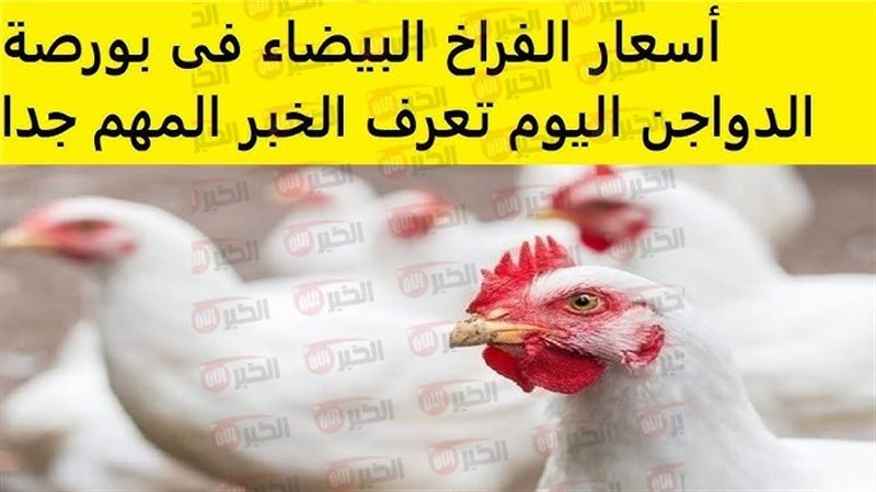 بورصة الدواجن اليوم