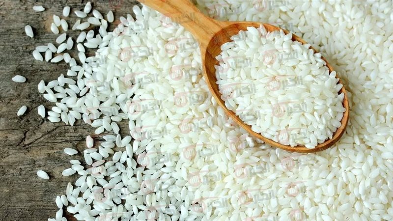 سعر الأرز الشعير