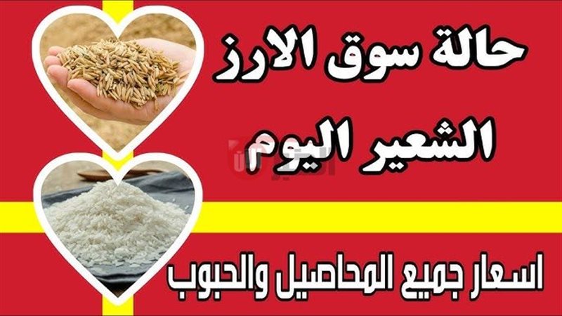 سعر الأرز الشعير