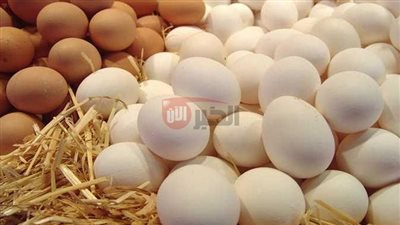 ارتفاع سعر كرتونة البيض اليوم في بورصة الدواجن والأسواق المصرية للمستهلكين