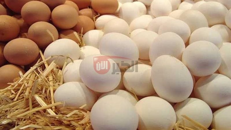 سعر كرتونة البيض